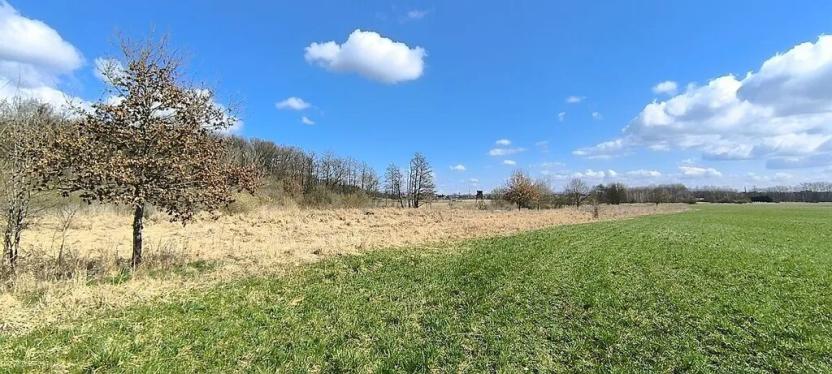 Prodej pole, Františkovy Lázně, 7083 m2