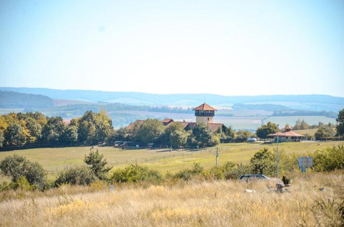 Prodej vícegeneračního domu, Olšany, 392 m2