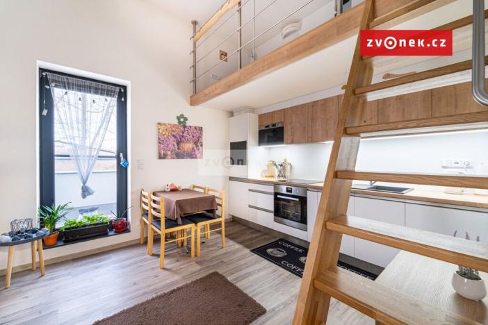 Pronájem bytu 1+kk, Zlín, K Majáku, 42 m2