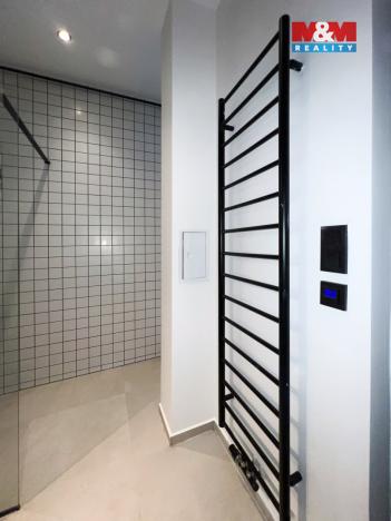 Pronájem bytu 1+1, Ostrava - Moravská Ostrava, Veleslavínova, 55 m2