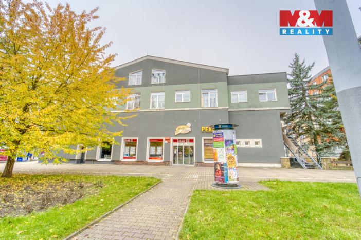 Pronájem bytu 2+1, Plzeň, Nepomucká, 55 m2