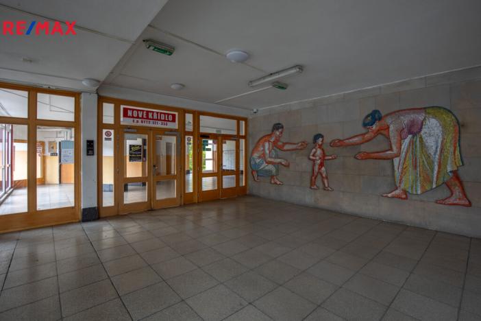 Prodej bytu 2+kk, Litvínov - Horní Litvínov, Koldům, 52 m2