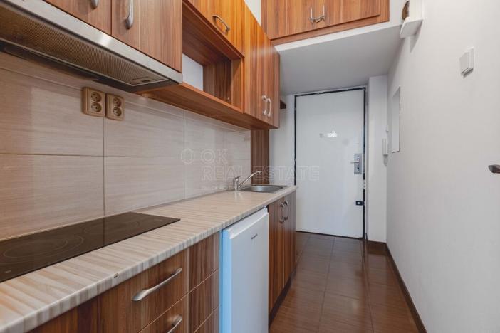 Pronájem bytu 1+kk, Praha, Krakovská, 28 m2