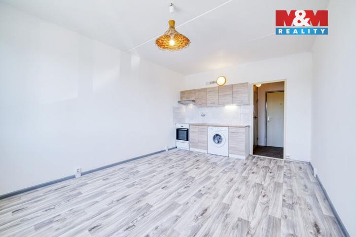Pronájem bytu 1+kk, Horní Bříza, Sídlištní, 24 m2