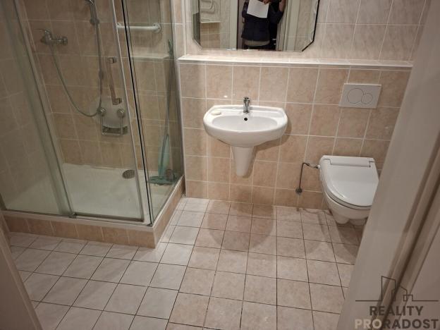 Pronájem bytu 2+kk, Kladno, Švýcarská, 89 m2