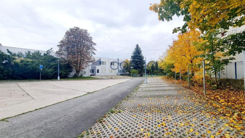 Pronájem obchodního prostoru, Praha, Za Mototechnou, 2799 m2