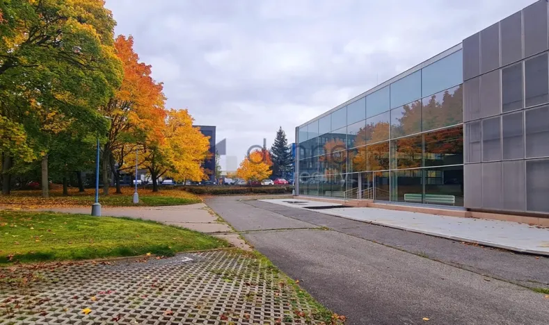Pronájem obchodního prostoru, Praha, Za Mototechnou, 2799 m2