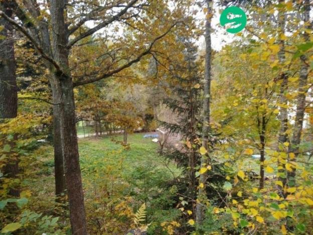 Prodej pozemku pro bydlení, Benecko - Dolní Štěpanice, 2020 m2