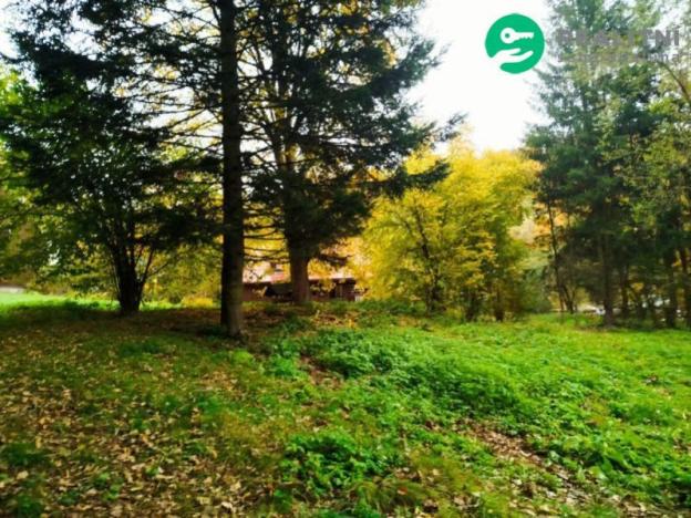 Prodej pozemku pro bydlení, Benecko - Dolní Štěpanice, 2020 m2