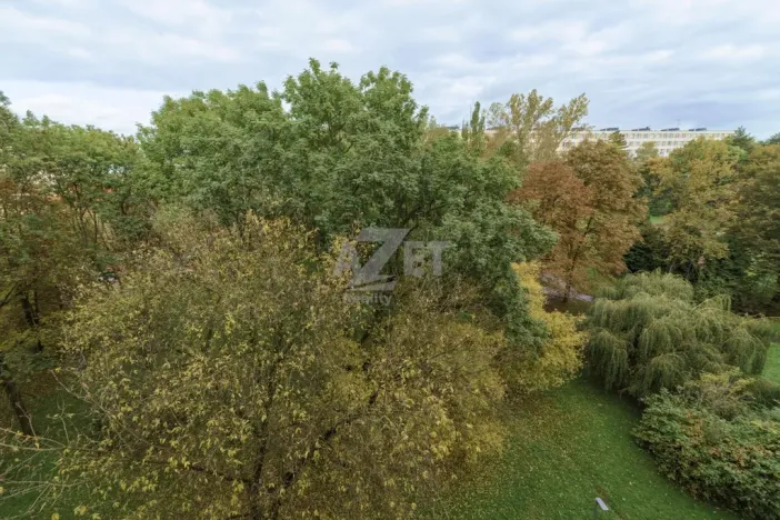 Prodej bytu 3+1, Karviná - Hranice, Divišova, 76 m2