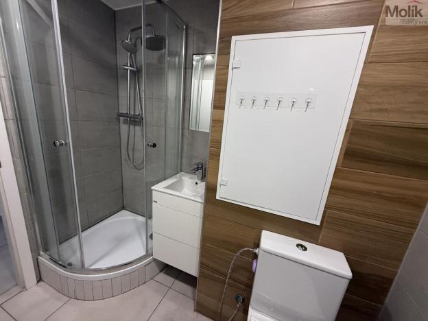 Pronájem bytu 1+1, Bílina - Teplické Předměstí, Sídliště Za Chlumem, 35 m2