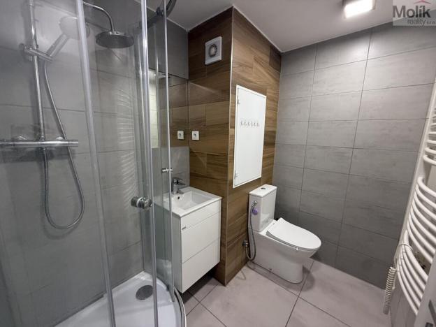 Pronájem bytu 1+1, Bílina - Teplické Předměstí, Sídliště Za Chlumem, 35 m2