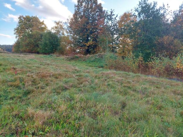 Prodej pozemku pro bydlení, Chotovice, 1358 m2