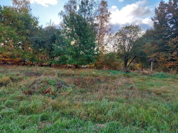 Prodej pozemku pro bydlení, Chotovice, 1358 m2