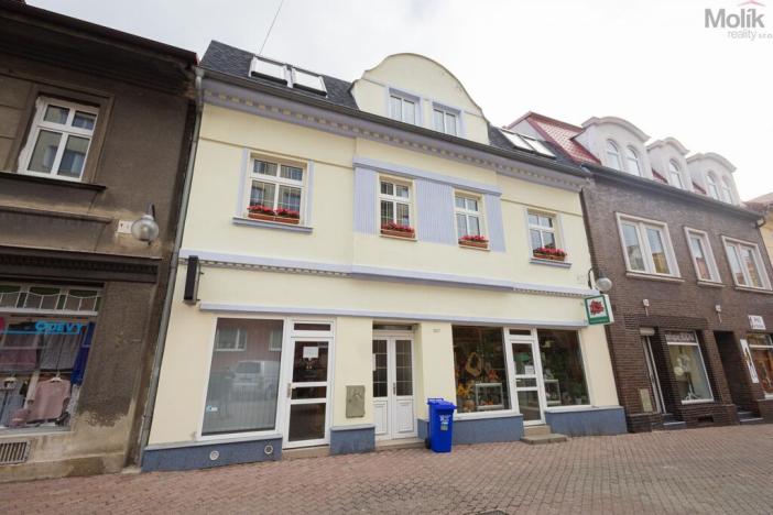 Prodej obchodního prostoru, Litvínov - Horní Litvínov, Rooseveltova, 277 m2