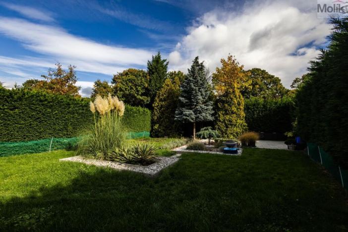 Prodej obchodního prostoru, Litvínov - Horní Litvínov, Rooseveltova, 277 m2