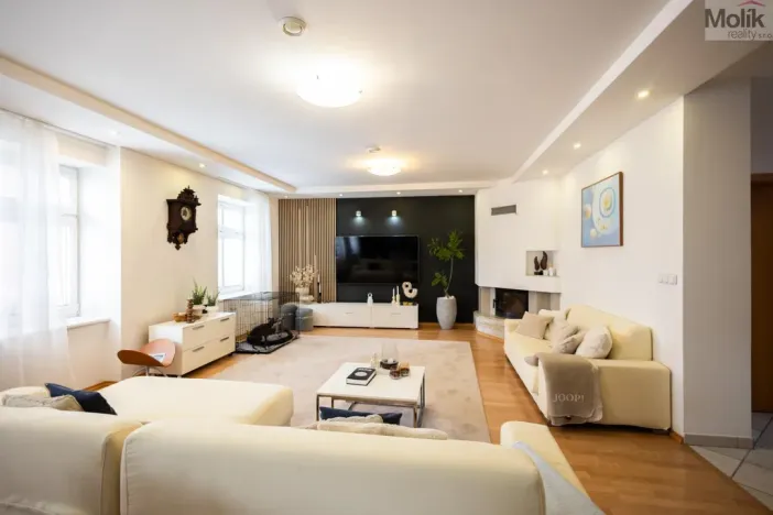 Prodej obchodního prostoru, Litvínov - Horní Litvínov, Rooseveltova, 277 m2