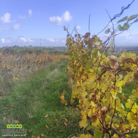 Prodej pozemku, Ořechov, 4846 m2