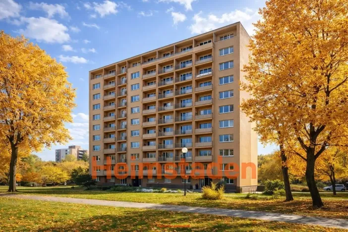 Pronájem bytu 1+1, Karviná - Hranice, Einsteinova, 33 m2