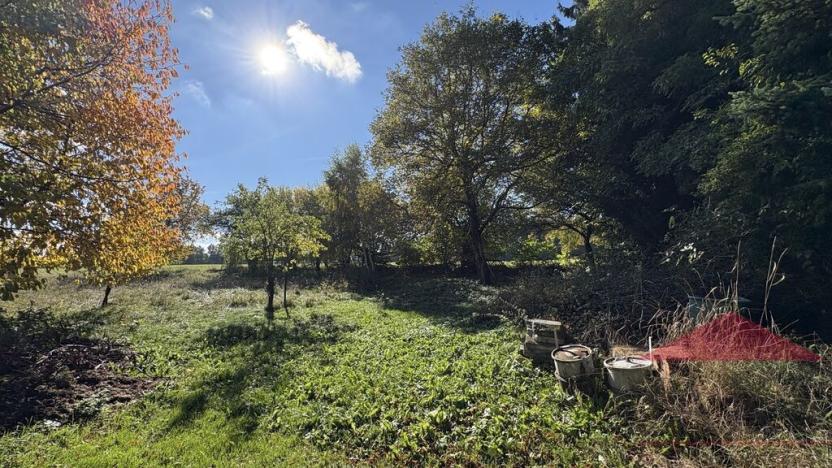 Prodej rodinného domu, Strašín - Maleč, 200 m2