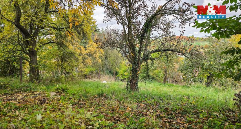 Pronájem zahrady, Mšecké Žehrovice, 535 m2