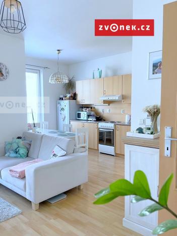 Pronájem bytu 1+kk, Zlín, Březnická, 47 m2