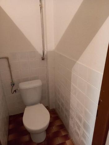 Pronájem bytu 2+1, Holovousy, 85 m2