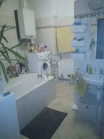Pronájem bytu 1+kk, České Budějovice - České Budějovice 1, Kněžská, 35 m2
