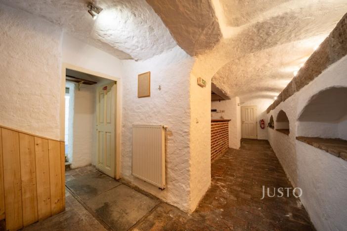 Prodej obchodního prostoru, České Budějovice - České Budějovice 1, nám. Přemysla Otakara II., 301 m2