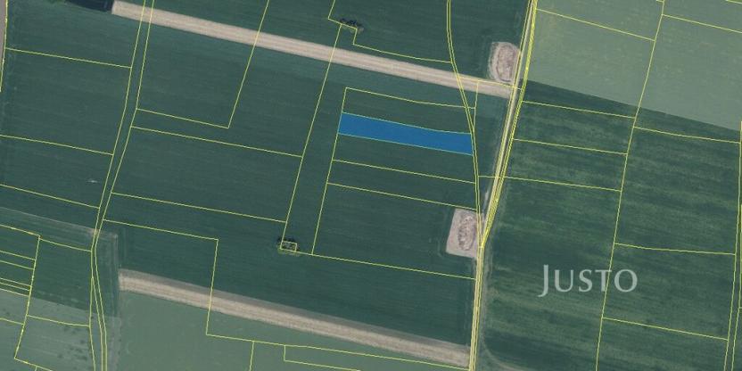 Prodej pole, Černuc - Miletice, 7167 m2