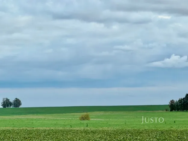 Prodej pole, Černuc - Miletice, 7167 m2