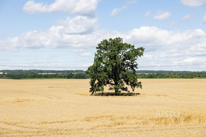 Prodej rodinného domu, Libníč, 124 m2