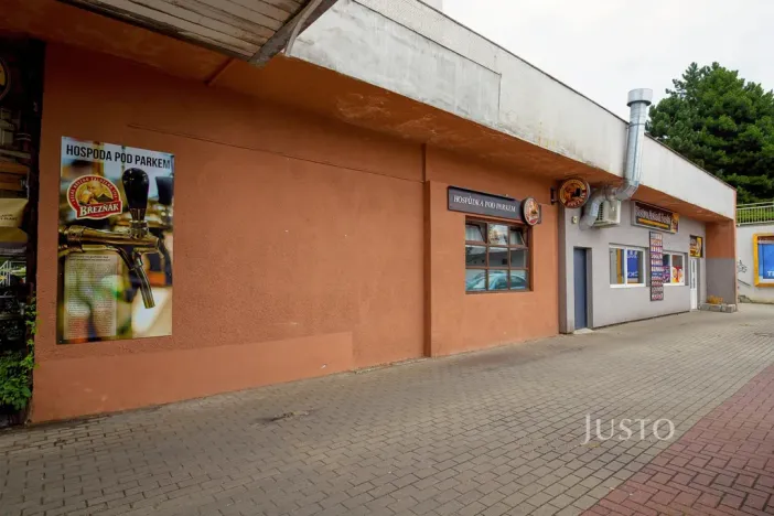 Prodej obchodního prostoru, Ústí nad Labem, Pod Parkem, 82 m2