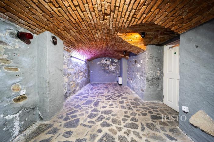 Prodej restaurace, České Budějovice - České Budějovice 1, nám. Přemysla Otakara II., 48 m2