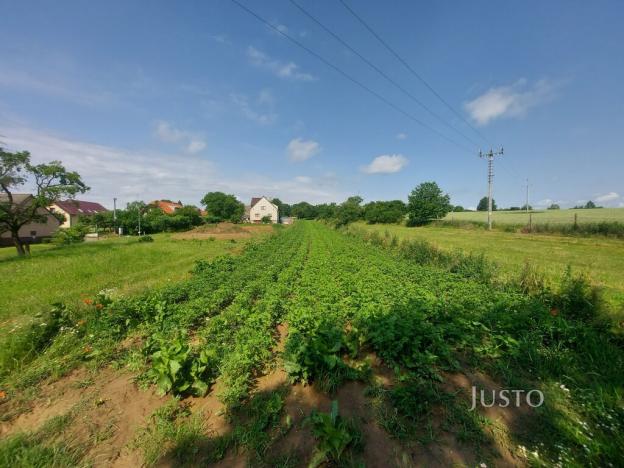 Prodej pozemku pro bydlení, Dražíč, 2918 m2