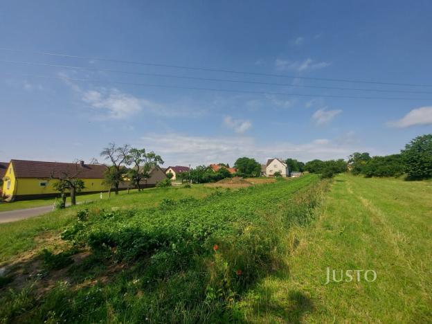 Prodej pozemku pro bydlení, Dražíč, 2918 m2