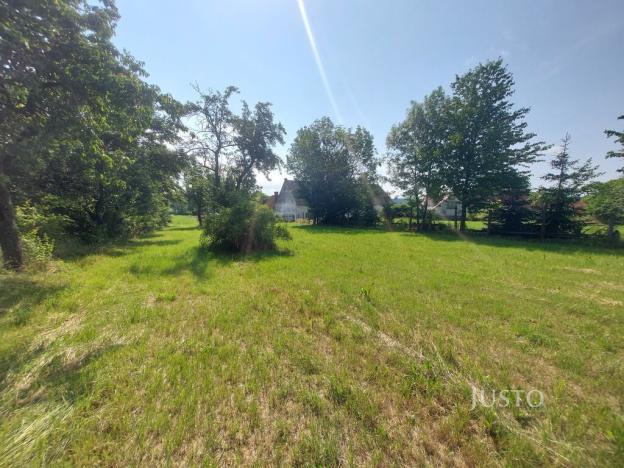 Prodej pozemku pro bydlení, Dražíč, 2918 m2