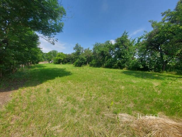 Prodej pozemku pro bydlení, Dražíč, 2918 m2