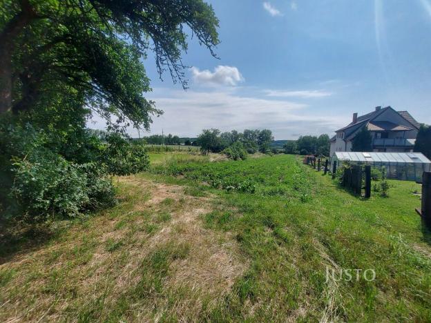 Prodej pozemku pro bydlení, Dražíč, 2918 m2