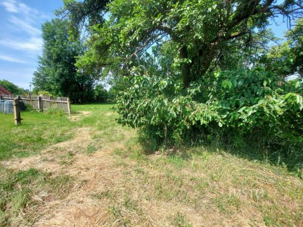 Prodej pozemku pro bydlení, Dražíč, 2918 m2