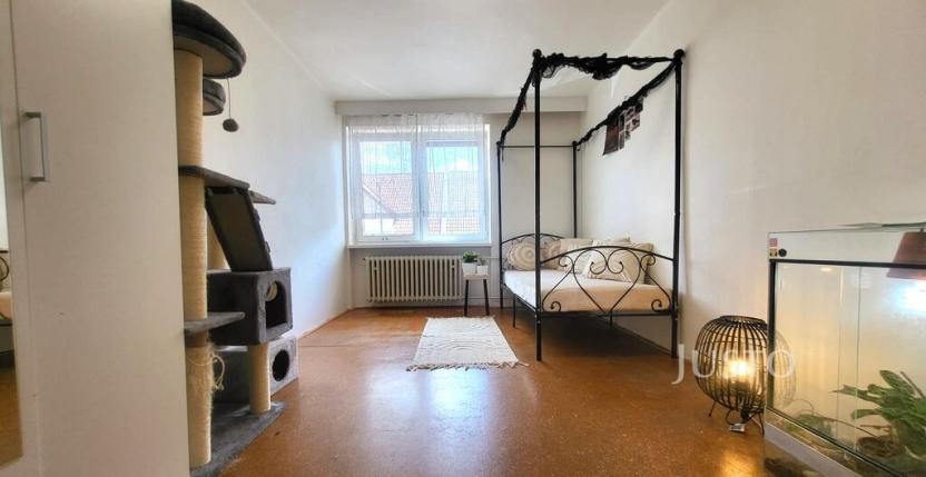 Prodej rodinného domu, Písek - Budějovické Předměstí, Jeronýmova, 231 m2