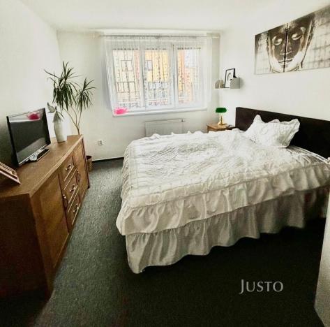 Prodej rodinného domu, Písek, Na Pakšovce, 284 m2