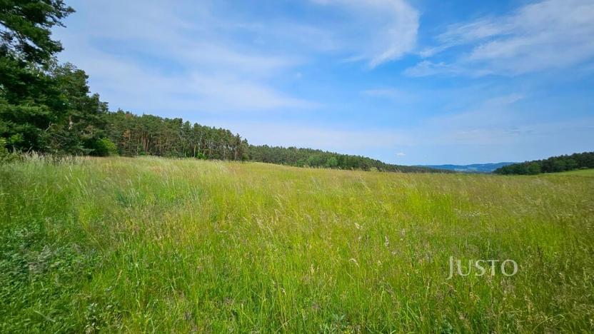 Prodej pozemku pro bydlení, Dobev - Velké Nepodřice, 8980 m2