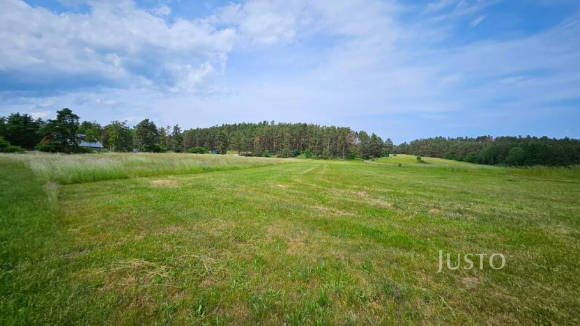 Prodej pozemku pro bydlení, Dobev - Velké Nepodřice, 8980 m2
