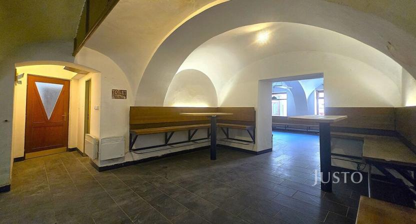 Prodej vícegeneračního domu, Písek, V Koutě, 786 m2