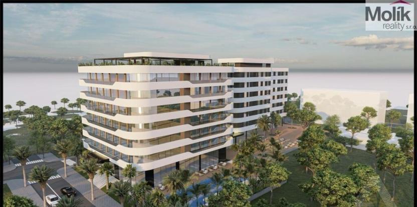 Prodej bytu 2+kk, Golem, 80 m2