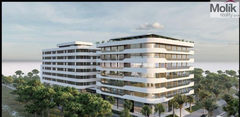 Prodej bytu 2+kk, Golem, 93 m2