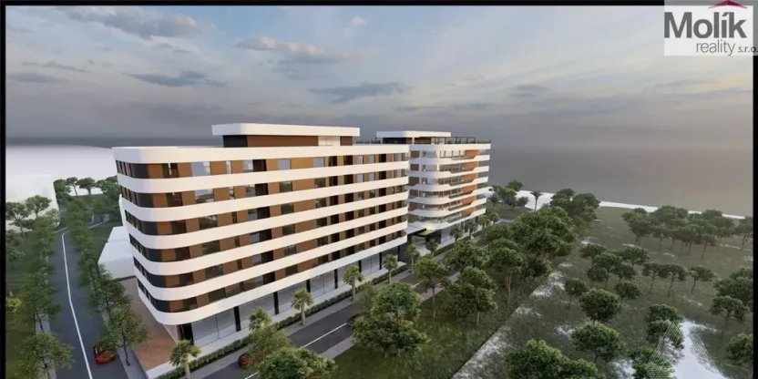 Prodej bytu 2+kk, Golem, 93 m2