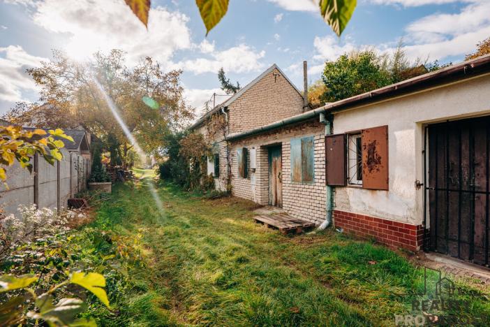 Prodej vinného sklepa, Mikulčice, 65 m2