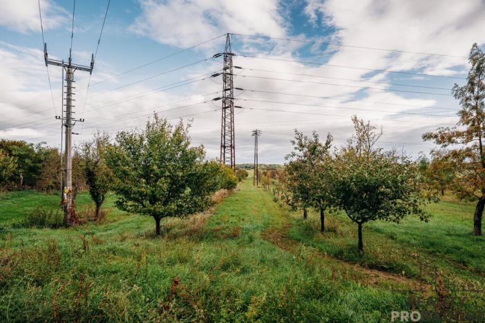 Prodej vinného sklepa, Mikulčice, 65 m2